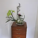 올 시즌스 호스텔 *