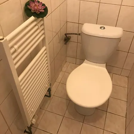 آل سيزونز هوستيل
